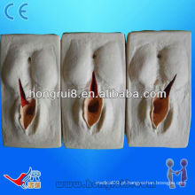 Modelo de treinamento HOT SALE para sutura de vulva